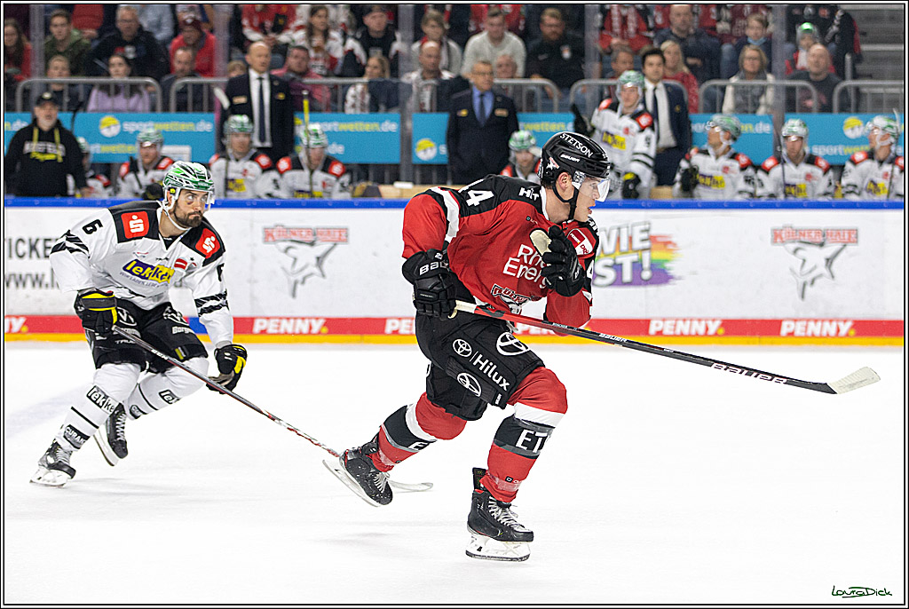 PENNY DEL;  Koelner Haie - Krefeld Pinguins; Koeln, 31.10.2021